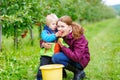 Young mother and little toddler boy picking apples Royalty Free Stock Photo