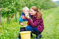 Young mother and little toddler boy picking apples Royalty Free Stock Photo