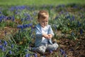 Young mother playing and talking with a baby boy son on a muscari field in Spring - Sunny day - Grape hyacinth - Riga Royalty Free Stock Photo