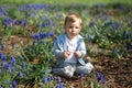 Young mother playing and talking with a baby boy son on a muscari field in Spring - Sunny day - Grape hyacinth - Riga Royalty Free Stock Photo