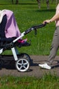 young mother pushing buggy Royalty Free Stock Photo