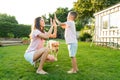 Young mother and son playing with dog, throwing a ball and have fun together. Happy family playing with tennis ball with Royalty Free Stock Photo