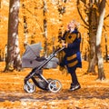 A young mother with a stroller is talking on her mobile phone while walking in the park Royalty Free Stock Photo
