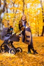 A young mother with a stroller is talking on her mobile phone while walking in the park Royalty Free Stock Photo