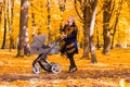 A young mother with a stroller is talking on her mobile phone while walking in the park Royalty Free Stock Photo