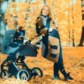 A young mother with a stroller is talking on her mobile phone while walking in the park Royalty Free Stock Photo