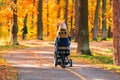 A young mother with a stroller walks through the autumn park back to the camera. Royalty Free Stock Photo