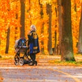 A young mother with a stroller walks through the autumn park back to the camera. Royalty Free Stock Photo