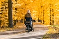 A young mother with a stroller walks through the autumn park Royalty Free Stock Photo