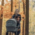 A young mother with a stroller walks through the autumn park Royalty Free Stock Photo