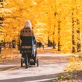 A young mother with a stroller walks through the autumn park Royalty Free Stock Photo