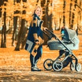 A young mother with a stroller walks through the autumn park Royalty Free Stock Photo