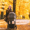 A young mother with a stroller walks through the autumn park Royalty Free Stock Photo