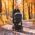 A young mother with a stroller walks through the autumn park Royalty Free Stock Photo