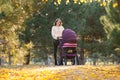 Young mother with a stroller walks in the autumn square