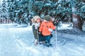 A young mother teaches a little son a boy of 3-5 years old, skiing for children, in the winter in the woods, on vacation Royalty Free Stock Photo