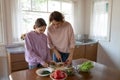 Young mother teaching teenage daughter cutting salad together in kitchen Royalty Free Stock Photo