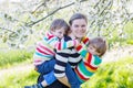 Young mother and two little twins boys having fun in blooming ga Royalty Free Stock Photo