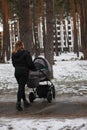 young mother on a walk with her baby. girl with a baby in a stroller in the winter on a walk. Royalty Free Stock Photo