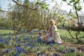 Young mother walking with a baby boy son on a muscari field in Spring - Sunny day - Grape hyacinth Royalty Free Stock Photo