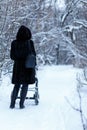 Young mother walking with a carriage in a winter snow-covered alley in the forest. Winter landscape Royalty Free Stock Photo