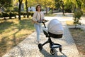 Young mother walking with her baby in stroller at park on sunny day Royalty Free Stock Photo