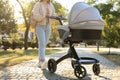 Young mother walking with her baby in stroller at park on sunny day, closeup Royalty Free Stock Photo