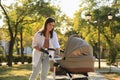 Young mother walking with her baby in stroller at park on sunny day Royalty Free Stock Photo