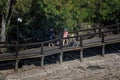 Young Mothers Pushing Prams On Walking Track Royalty Free Stock Photo