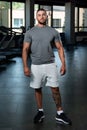 Handsome Man Posing In Gray T-shirt Royalty Free Stock Photo