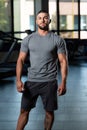 Muscular Man Posing In Gray T-shirt Royalty Free Stock Photo