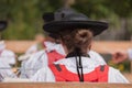 Young musician girl in typical costume during an autumn local celebration in Val di Funes South Tyrol