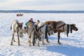 A young Nenets girl drives reindeer sled