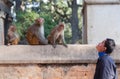 Young Nepalese man and family of monkeys