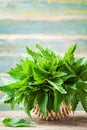 Young nettle leaves in basket on wooden rustic background, stinging nettles, urtica