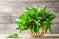 Young nettle leaves in basket on wooden rustic background, stinging nettles, urtica