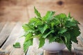 Young nettle leaves in pot on rustic background, stinging nettles, urtica Royalty Free Stock Photo