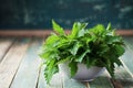 Young nettle leaves in pot on rustic background, stinging nettles, urtica