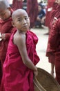 Young Novice Monk Myanmar Burma