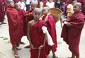 Young Novice Monks Myanmar Burma