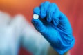 A young nurse, a doctor in latex blue gloves, holds a single white pill in her hand. Close-up of medical pills in the doctor`s han Royalty Free Stock Photo