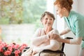 Young nurse helping an elderly woman in a wheelchair. Nursing ho Royalty Free Stock Photo