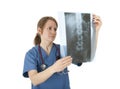Young nurse studying x-ray Royalty Free Stock Photo