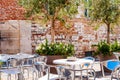 Young olive tree growing in a big flowerpot with blooming flowers on the street with red bricks wall on the background and metal Royalty Free Stock Photo