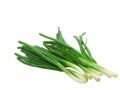 Young onion on white background . Isolated