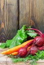 Young organic beetroots and carrots with leaves. Copy space Royalty Free Stock Photo