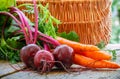 Young organic beetroots and carrots with leaves on a wooden table Royalty Free Stock Photo