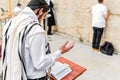 Young Orthodox Jewish man praying with phylacteries, at the Western Wall.