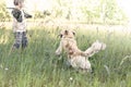 Young owner throwing away the stick to his dog