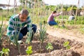 Young pakistani man farmer during working with garlic